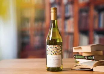 How to choose a wine decanter