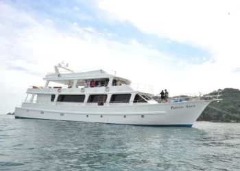 Detailed explanation of the purchase and use process of private yacht
