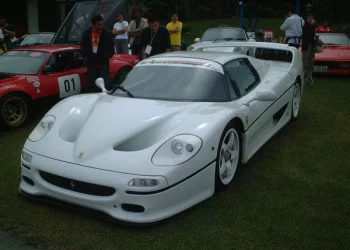 Why are Beetles so expensive