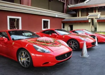 Which new energy vehicle is the best