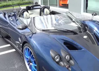 What are the brands of imported new energy vehicles