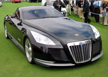 Two new energy vehicles