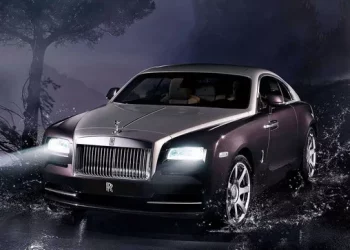 What are the new energy vehicles