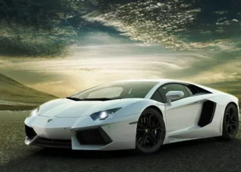 How many kinds of new energy vehicles are there