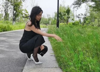 What brand do you have