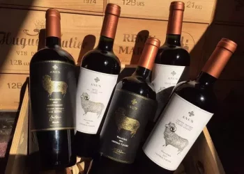 Standards for the aging and aging of wines