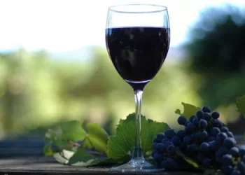 What types of wine are available in Alsace, France