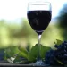 What types of wine are available in Alsace, France