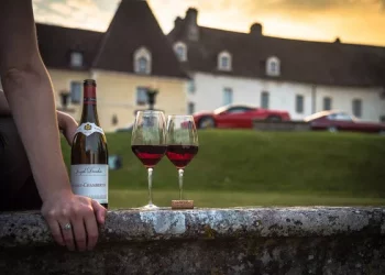 How should wine be preserved?