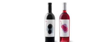 What are the top 10 most expensive wines in the world?