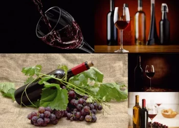 How long is the shelf life of wine?
