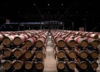 What is malic acid in wine?