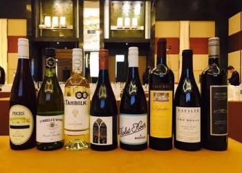 What kinds of wine stoppers are there?