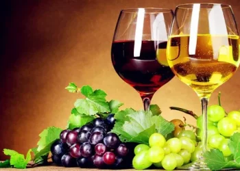 What are the common aromas of wine