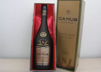 What are the five major producing regions of Bordeaux