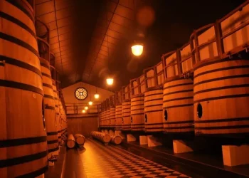 How to Clean Wine Glasses