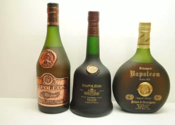 What are the words that describe wine tasting with medium to high tannin content