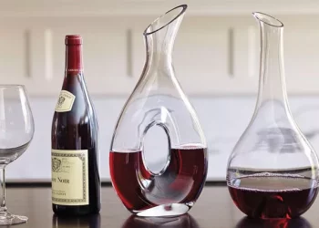 How to choose the right wine glass