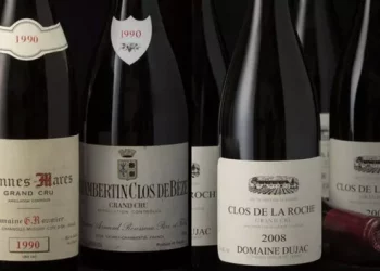 The role of grape stem in fermentation