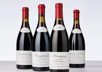 What does a wine cap do