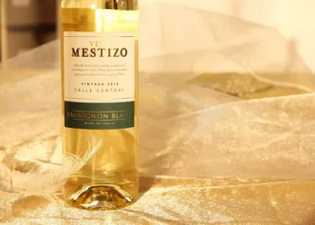 Tannin: An important ingredient in red wine