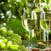 Optimum freezing time of wine