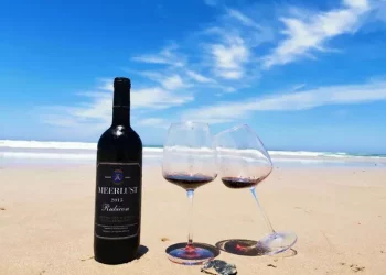 Learn about Spanish sparkling wine — cava