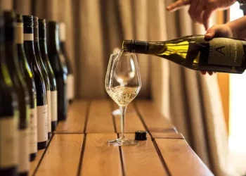 What are the benefits of wine for your skin