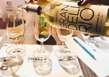 On the origin of Mouton rothschild wine label