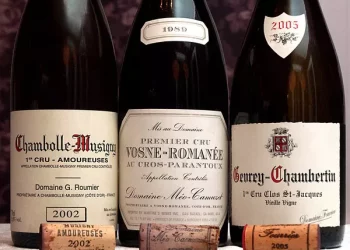 What kind of food does big wine go well with