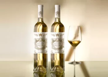 Which wines can be paired with spicy dishes