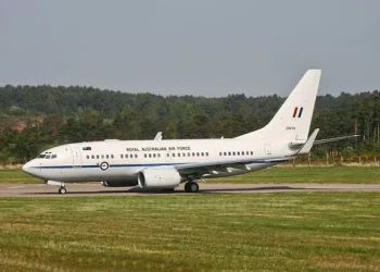 What do landing lights do