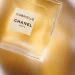 Why Is Chanel Number 5 So Popular