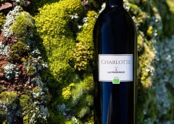 how to get red wine out of carpet