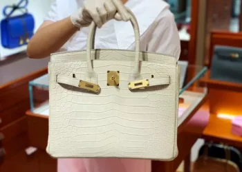 How much does a birkin bag cost in india