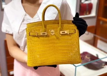 Who owns the most expensive birkin bag