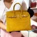 Who owns the most expensive birkin bag