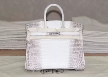 What is the most expensive birkin bag in the world