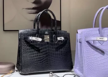 What Makes the Birkin Bag so Special