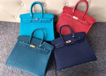 The Allure of the Hermes Birkin Bag: What Makes it So Special
