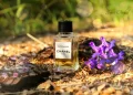 A Guide to the Longest-Lasting Chanel Perfumes