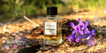 A Guide to the Longest-Lasting Chanel Perfumes